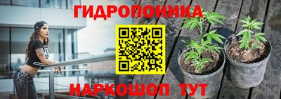 гидра Можайск
