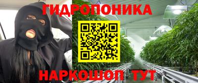 твердый Можга