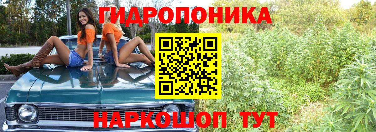 Шишки марихуана OG Kush  Вход с VPN  Каннабис индика  Серпухов  Конопля план 